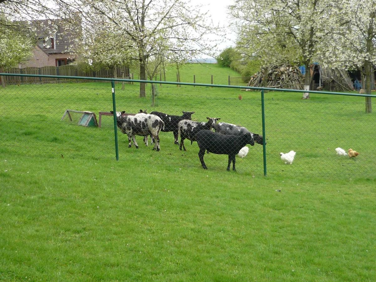 Hoeve Mingels Banholt 외부 사진