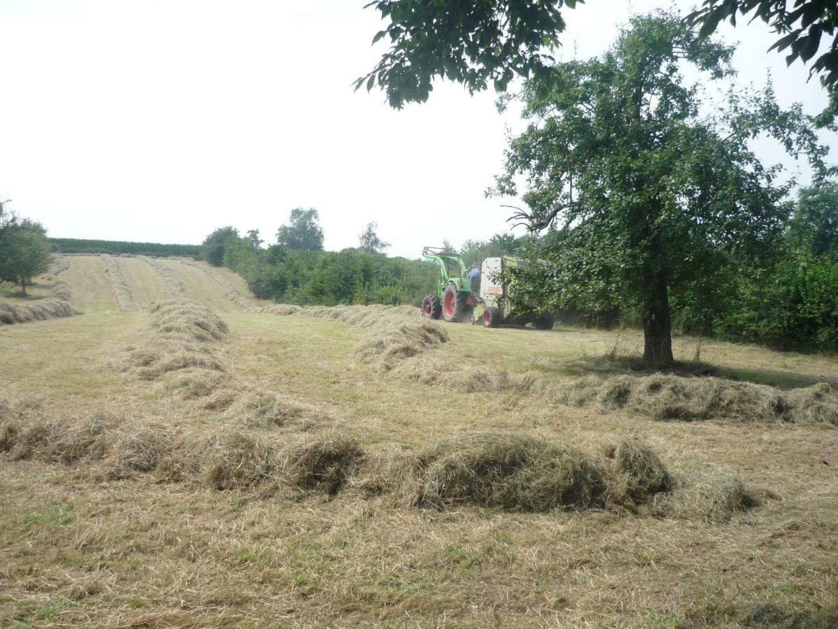Hoeve Mingels Banholt 외부 사진